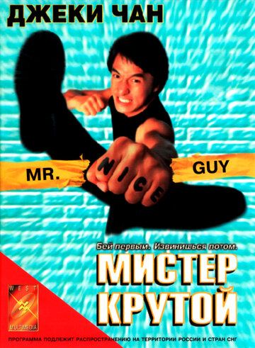 Мистер Крутой (1996)