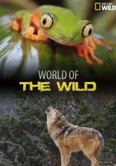 World of the Wild (2016)