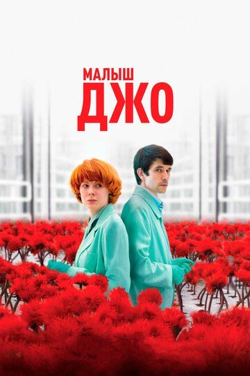 Малыш Джо (2019)