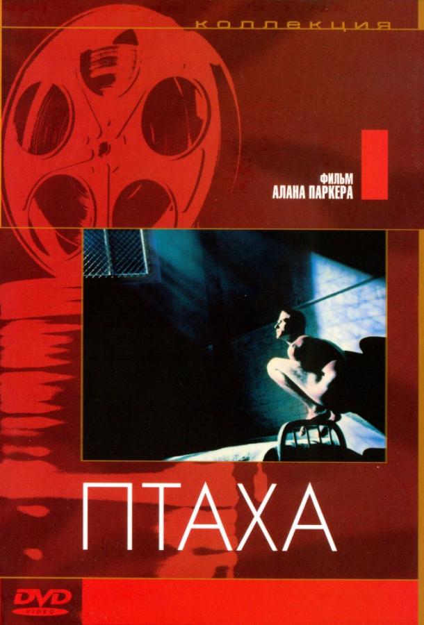 Птаха (1984)