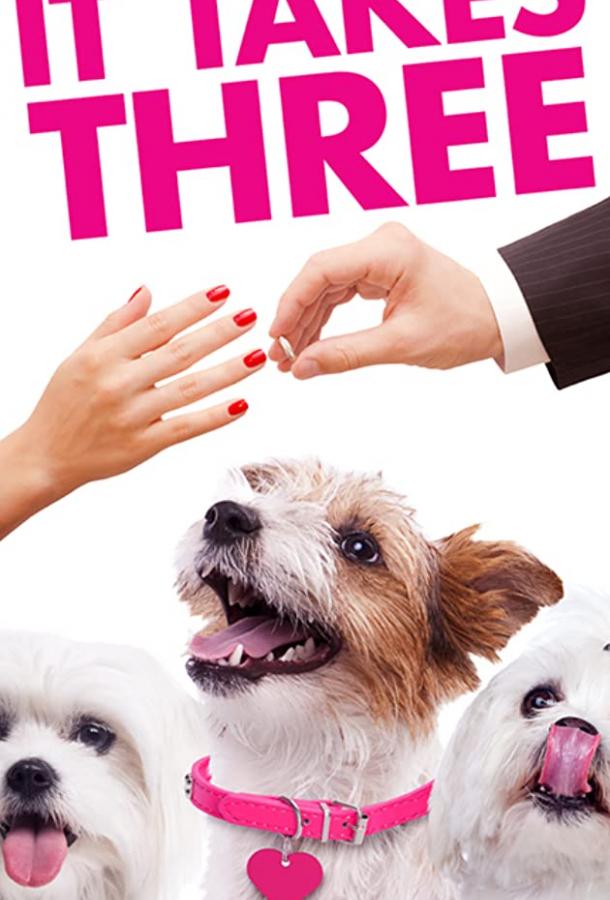 It Takes Three (2019)