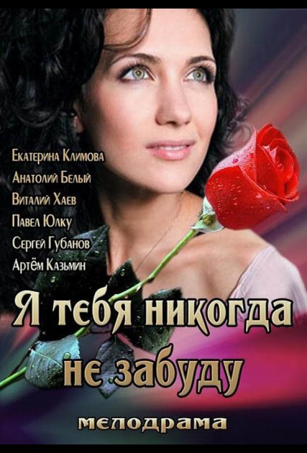 Я тебя никогда не забуду (2013)